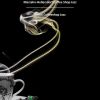 Download track Marzahn-Hellersdorf Coffee Shop Jazz