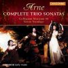 Download track Trio Sonata No. 1 In A Major - IV. Allegro Ma Non Troppo