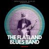 Download track Quarantine Blues (The Ballad Of 2020)