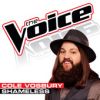 Download track Shameless (The Voice Performance)