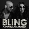 Download track Bling (Radio Edit)