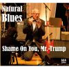 Download track Shame On You, Mr. Trump (Radio Version)