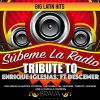 Download track Súbeme La Radio (Tribute To Enrique Iglesias (Instrumental)