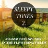 Download track Bloom Bees Sounds In The Flowering Fields, Pt. 1