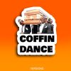 Download track Coffin Dance (Tribal)