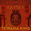 Download track Tswana King