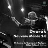 Download track Symphonie N°9 In E Minor, Op. 95, B178 