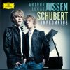 Download track Schubert 4 Impromptus Op. 142, D. 935-No. 2 In A Flat Allegretto