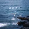 Download track 海鸥港口 (伴奏)