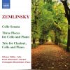 Download track Trio For Clarinet, Cello And Piano In D Minor, Op. 3 - III. Allegro