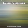 Download track Entspannungsmusik Teil 71