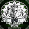 Download track Spirit Of India (Binary Squad Remix)