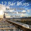 Download track 12 Bar Blues Backing Track In D Harmonic Minor 85 BPM, Vol. 1