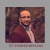 Download track Tut Elimden Mevlana