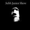 Download track Too Close To Cut It (Sebb Junior Remix)