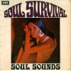 Download track Soul Survival