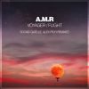 Download track Flight (Alex Pich Remix)