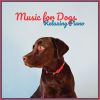 Download track Happy Dog