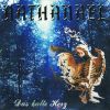 Download track Nathanael - In Einer Duesteren Welt