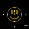 Download track Are You Happy (Lost Paper Remix)