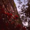 Download track Dead Cherry Flowers (Part 2)