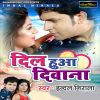 Download track Nikhar Aa Gail