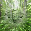 Download track Shpongle (Live Band) Set