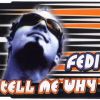 Download track Tell Me Why (Shortmix)