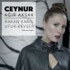 Download track Ağır Aksak (Radio Edit)