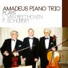 Download track Piano Trio No. 2 In E Flat Major, Op. 100 D 929 Allegro Moderato