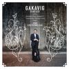 Download track Gakavig Fantasy