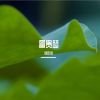 Download track 你总会遇到那束光或早或晚