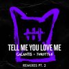 Download track Tell Me You Love Me (Ari Remix)