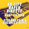 Download track What You Need (Stefano Pain, Discoplex Extended Remix)