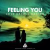 Download track Feeling You (Radio Edit)