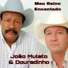 Download track Meu Reino Encantato