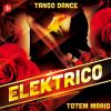 Download track Elektrico