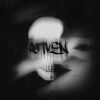 Download track RAVEN