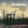 Download track Ein Deutsches Requiem, Op. 45 V. Ihr Habt Nun Traurigkeit. Langsam