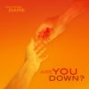 Download track Are You Down? (Long Club Version)