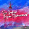 Download track Tere Qurban Pyare Muhammad