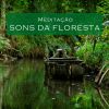 Download track Meditação: Sons Da Floresta, Pt. 44