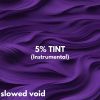 Download track 5% TINT (Slowed)