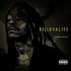 Download track Helluvalife Intro (Queezydoesit)