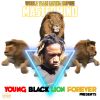 Download track YBLF Intro