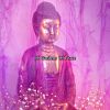 Download track Buddhist State Of Mind