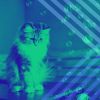 Download track Understated Ambiance For Home With Cats