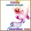 Download track Raindrops Are Falling (Radio Mix)