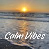 Download track Calm Water