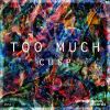 Download track Too Much (Short Edit)